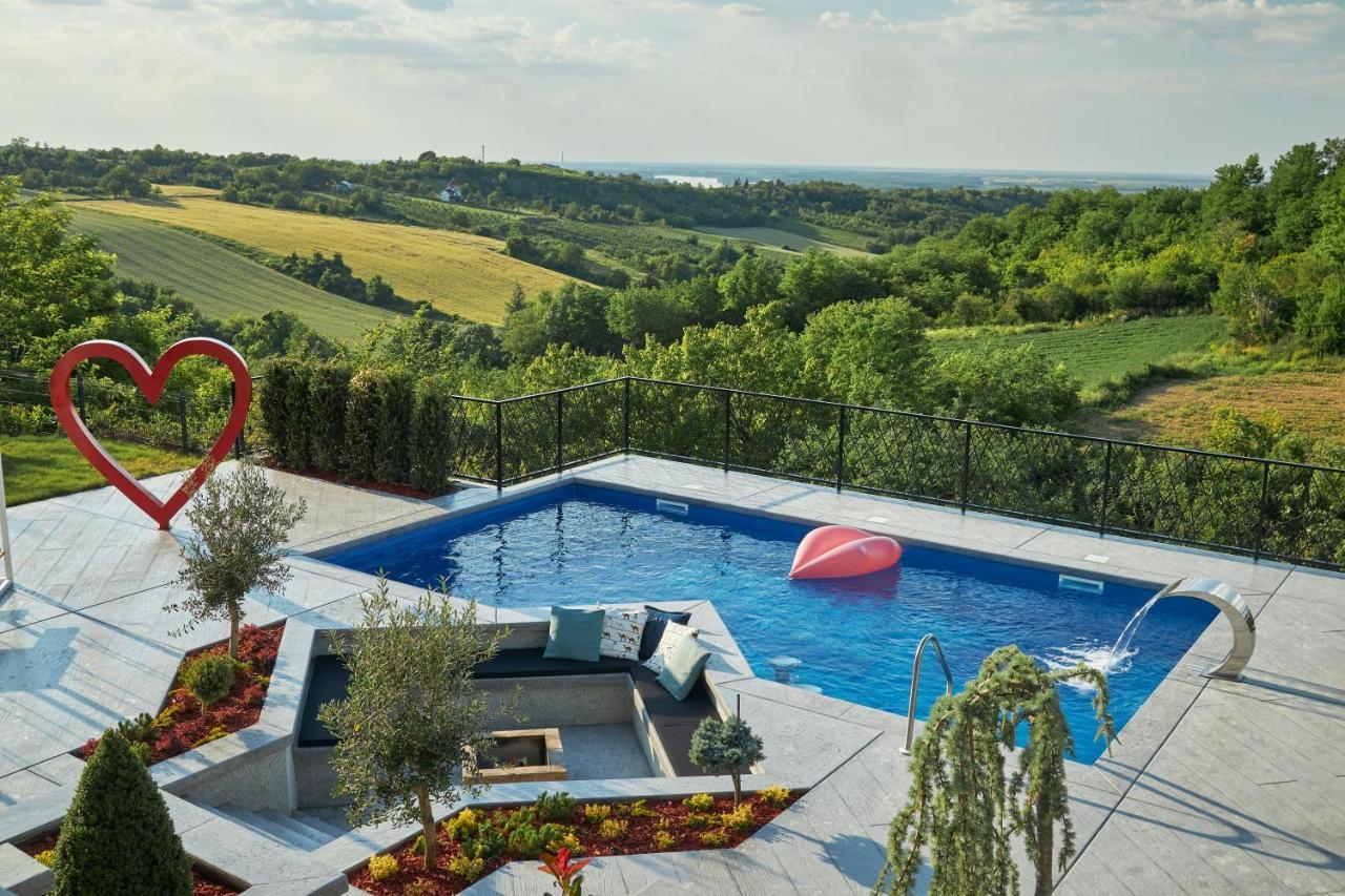 Riverside Pool Villa-Sremski Karlovci Buitenkant foto