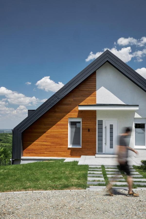 Riverside Pool Villa-Sremski Karlovci Buitenkant foto