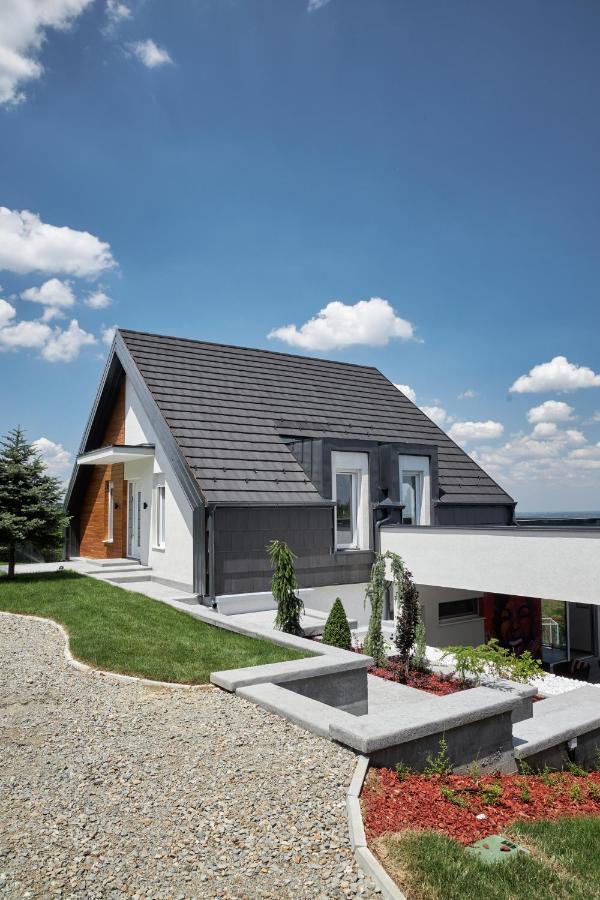 Riverside Pool Villa-Sremski Karlovci Buitenkant foto